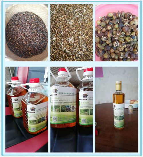 安福野山茶油：探索自然馈赠的极致美味，一次品尝价值几何？