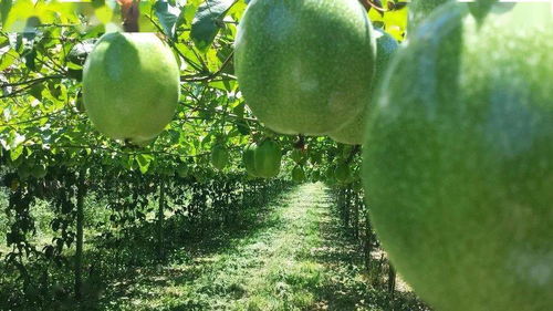 气温不稳，倒春寒来袭