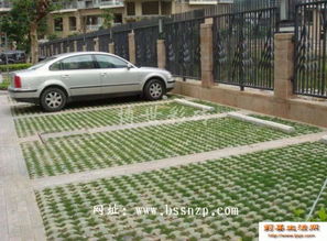 停车场草坪草品种揭秘：耐压草种推荐