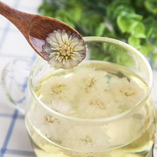 菊花茶凉了以后喝可以吗？这样喝可能有害健康