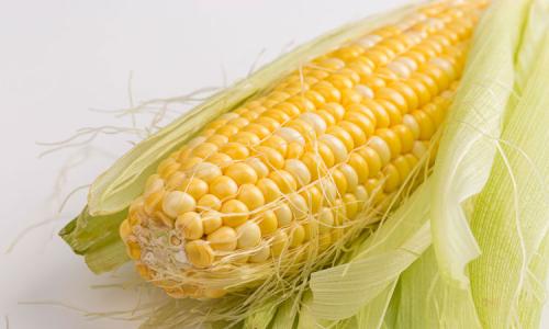 小玉米生吃安全吗？它的营养价值高