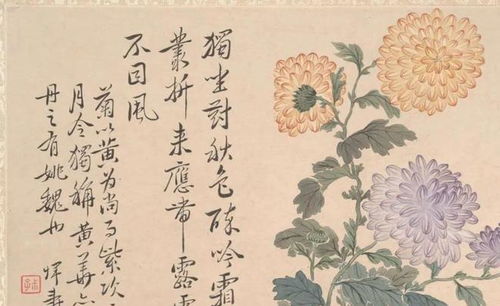 “还来就菊花”双：还来就菊花