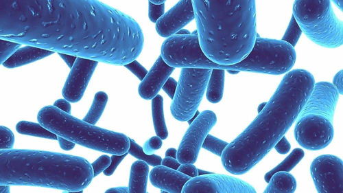 农药残留的危害：你了解多少？