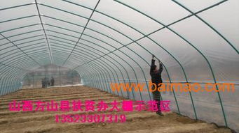 吕梁地区， 蔬菜大棚种植前景广阔