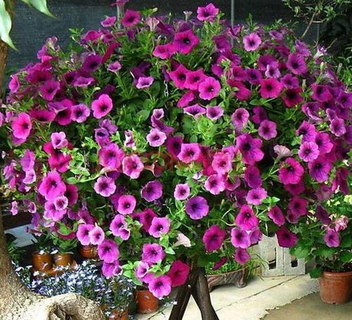 注意事项，不可忽视