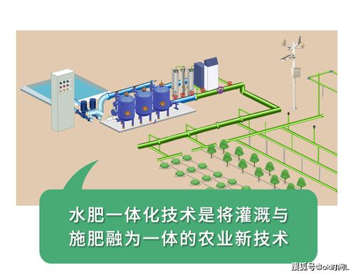 创新农业灌溉：高效循环水路走法提升作物产量