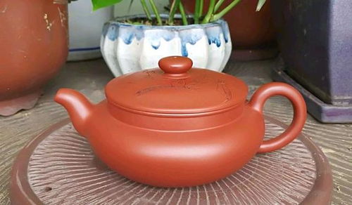 紫砂壶中的花卉盛宴