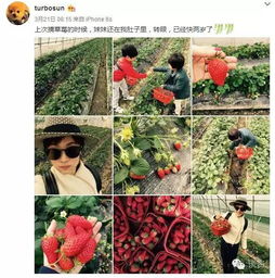 夏天的街边异味之谜：臭花真相大揭秘