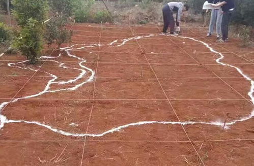 园林施工放线的奥秘：那些我们常用的专业工具