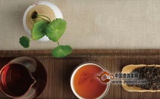 揭秘普洱茶品鉴“三口为品”真谛，如何入手鉴赏？