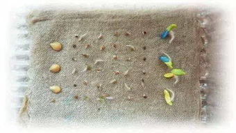 湿润纸巾法，你试过吗？