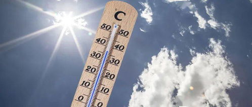 市场推广与使用时机