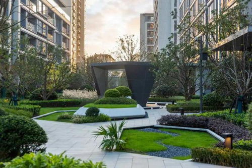 植物伙伴， 不是材料