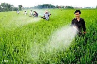 四、环保型除草剂