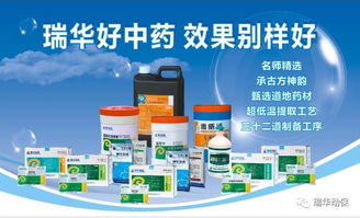 大白菜防病有妙招， 丙环唑使用要讲究