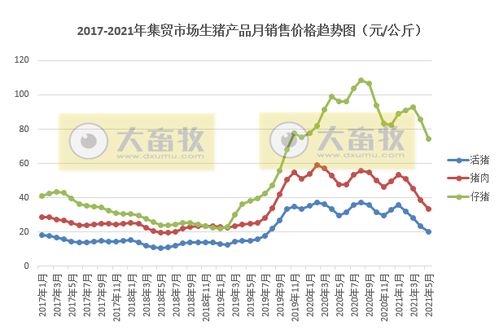 2025年确山生猪价波动真相中，养殖户如何准确把握哪三组关键数据？