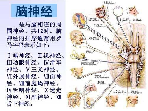 那些毒得要命的农药