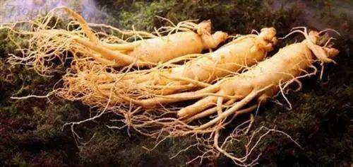 “在什么时间种植山药最适宜？有哪些具体的山药种植方法需要注意