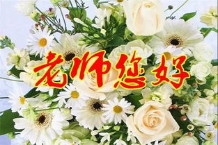 请问有哪些花语可以表达对老师的尊敬