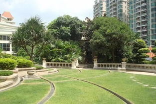 苗木分级标准， 了解一下