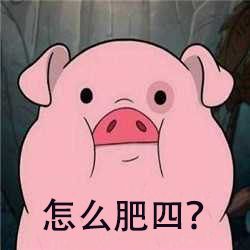 想让盛夏猪猪不掉膘？九招养猪绝招