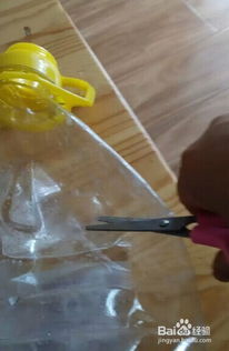 用矿泉水瓶变废为宝，打造种植小天地