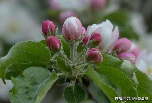 个人心得：顺应天时 见证财富积累