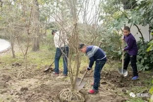 综合防治，关键在细节