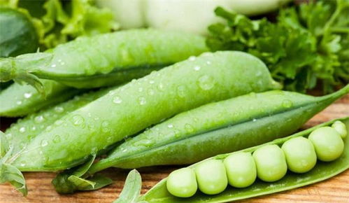 丝瓜子的营养功效有哪些？如何科学食用以达到最佳健康效果