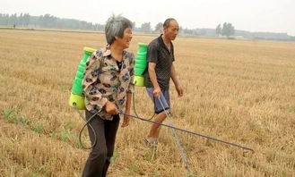 喷头要选好，雾化不能少