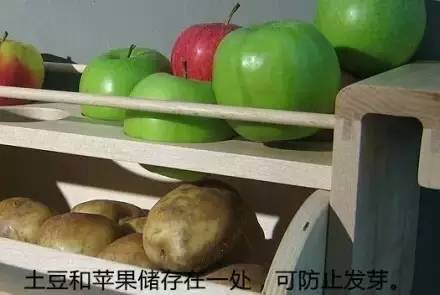 我国土豆贮存面临技术难题，需探索新型保鲜方法