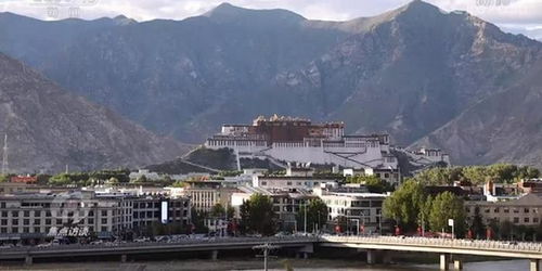 高原种植物：一场与自然的较量（续）