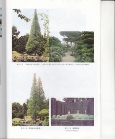 花卉大观园：自然与人文交织的绿色诗篇