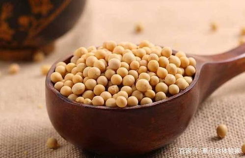 毛豆和黄豆一样吗？营养专家告诉你答案
