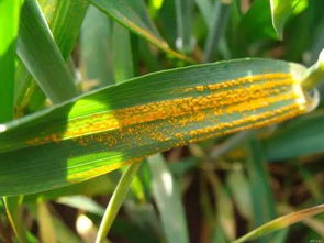 产量数据，让你一目了然