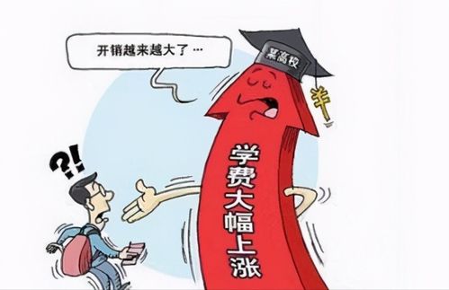 金鼎猪饲料为何持续上涨，养殖户该如何应对？