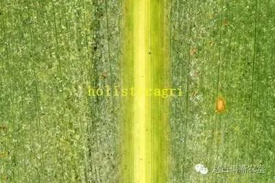 三天见效，真的吗？