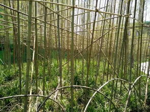 测量工具，得选对！