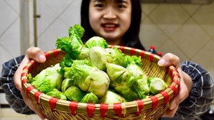 “棒棒菜种植的最佳时间和具体种植方法是怎样的