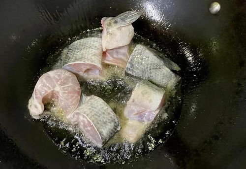黑鱼体型庞大，渔业资源丰富