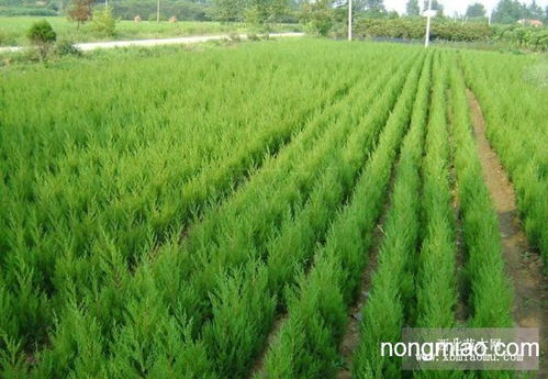 价格差距，大不大？