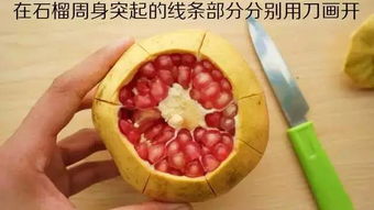 石榴成熟季节是什么时候？如何判断石榴何时成熟