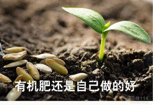 制作有机肥的投入