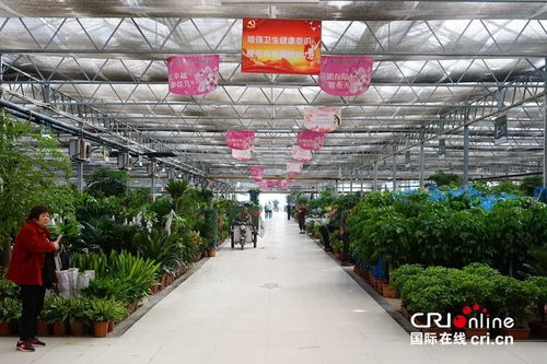 如何确认市场是否开放