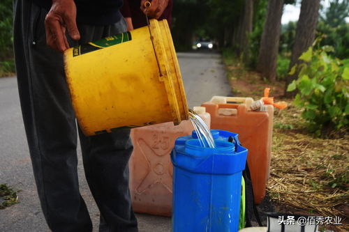 莠去津的封闭效果