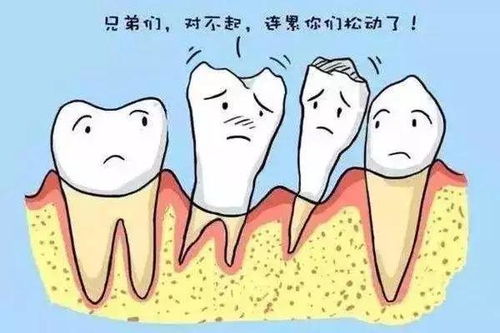 加强猪口腔护理，预防磨牙综合征
