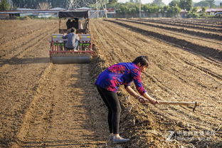 二、致命错误排行榜
