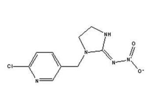 农药使用小贴士：如何用吡虫啉防治黄瓜蓟马？