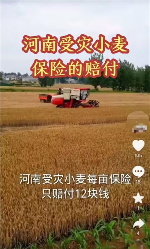 2022年小麦保险每亩赔偿金额是多少