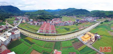 福建美丽乡村建设大行动， 月季花墙助力美化